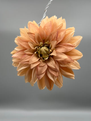 Super-size Flowers