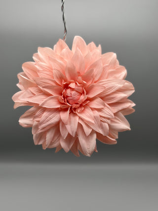Super-size Flowers