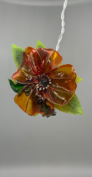 Poppies!