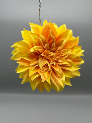 Super-size Flowers