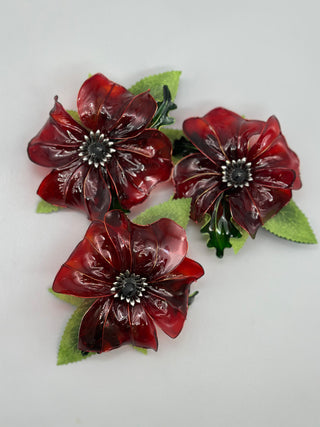 Poppies!